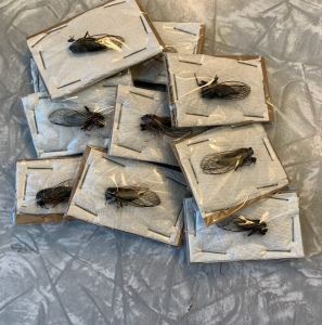 FOR SALE, Utah Cicadas