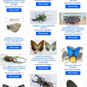 FOR SALE, TOP 100 INSECT AUCTIONS