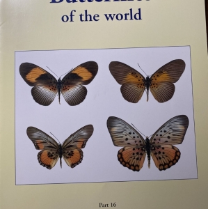 FOR SALE, Butterflies of the World, Part 16: Nymphalidae VII