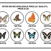 FOR SALE, Mix BUTEERFLY
