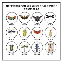 FOR SALE, MIX INSECT